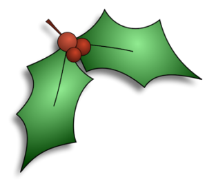 holly-cc-image-left-350